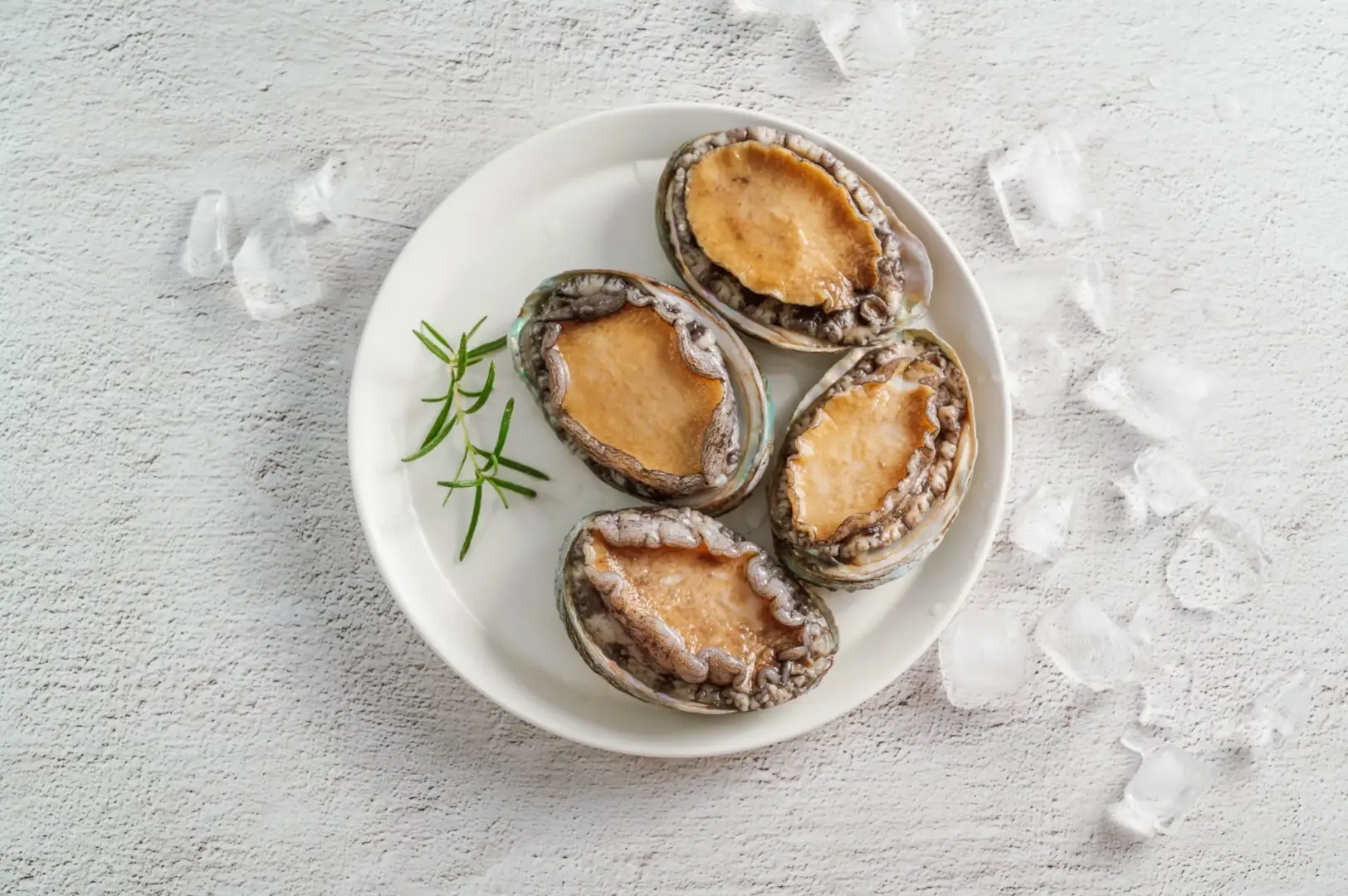 Korean Abalone