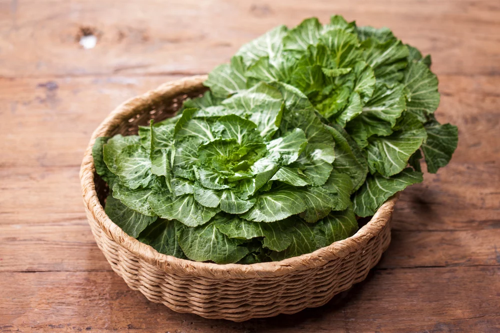 Spring Cabbage (Bomdong)