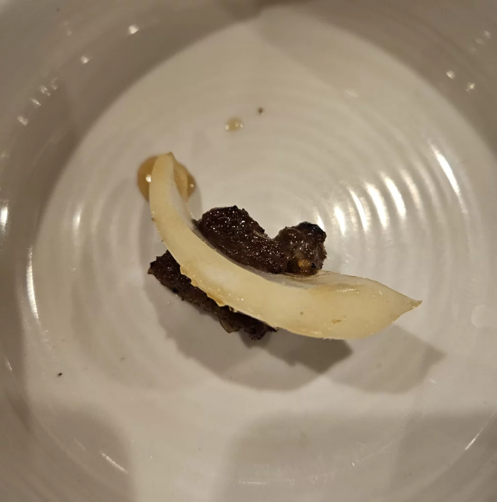 Tender grilled beef korean bbq topped with lightly pickled vegetables, showcasing a classic Korean BBQ pairing.