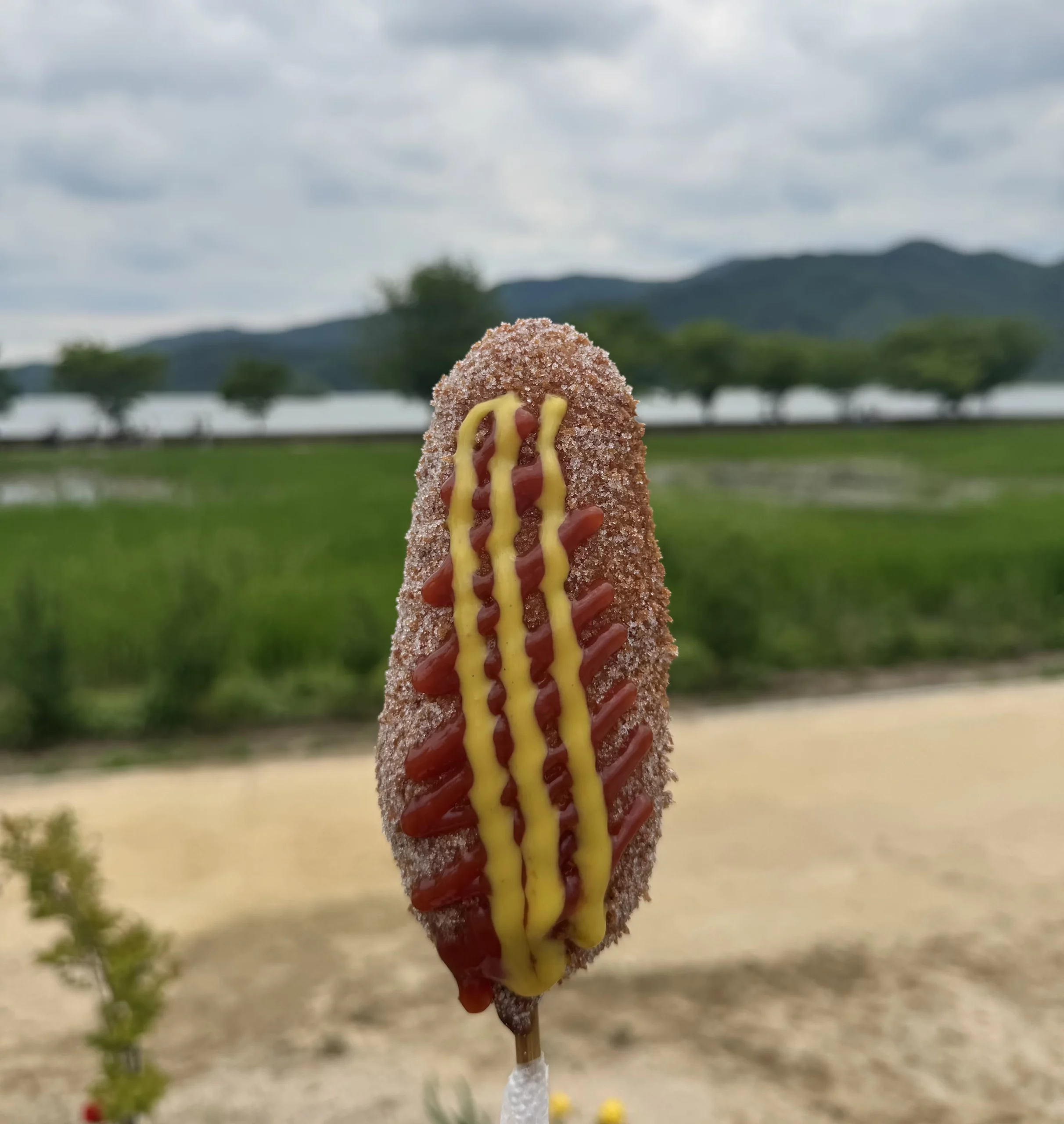 Community topic media