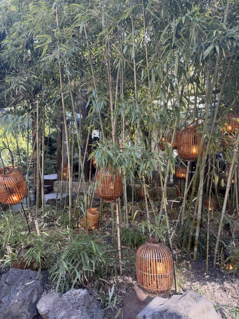 Dense bamboo forest with traditional woven lanterns at Cheongsu-dang Bakery in Seoul's Ikseon-dong, showcasing the serene Korean garden design of this historic hanok cafe.