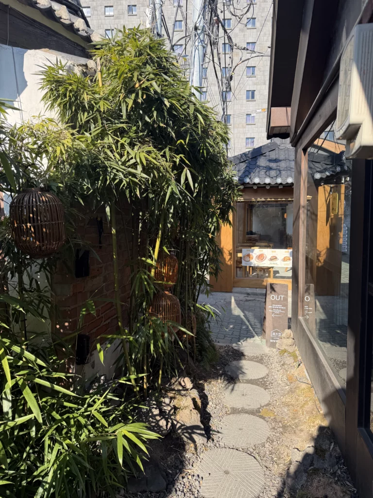 Bamboo garden courtyard at Cheongsu-dang Bakery hanok cafe in Seoul contrasting traditional Korean architecture with modern city buildings in Ikseon-dong neighborhood.