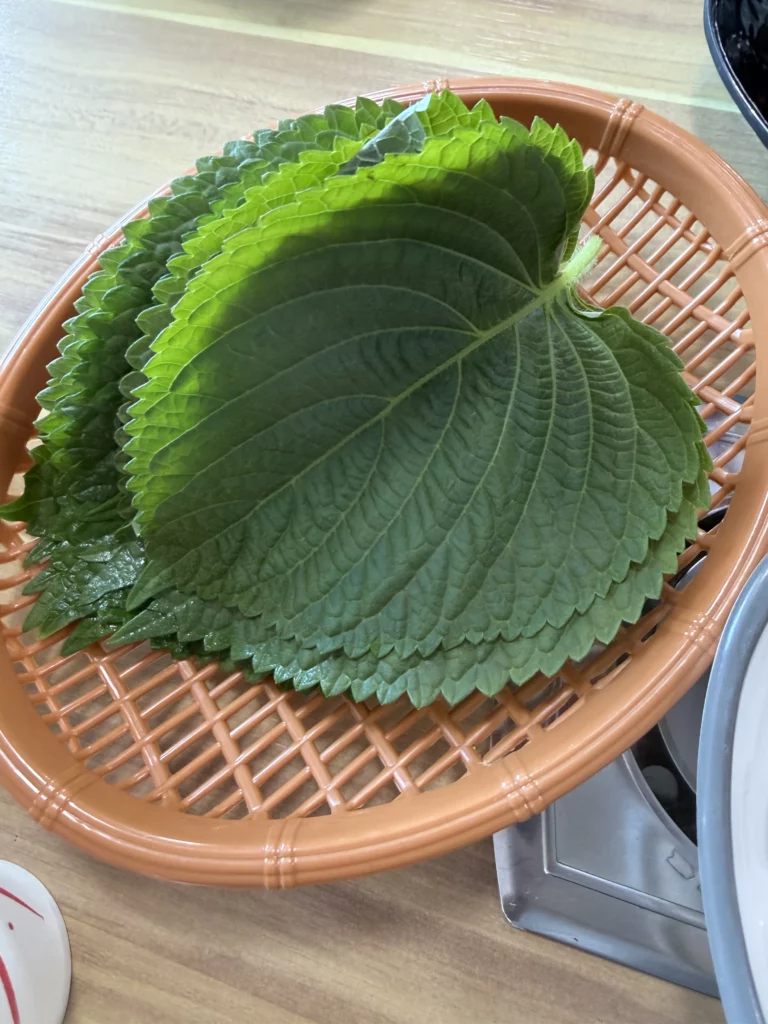 Fresh Korean perilla leaves (깻잎) served in a basket as ssam wraps for Korean trout sashimi (송어회) at Vivaldi Songeogol — a key ingredient that adds distinctive anise-like fragrance to each bite.