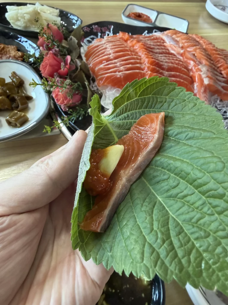 Hand holding a Korean perilla leaf (깻잎) ssam wrap with trout sashimi (송어회), choganjang, and garlic — the classic Korean way to eat freshwater fish at Vivaldi Songeogol in Gangwon Province.