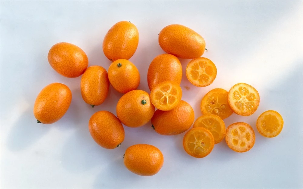 Korean Kumquat