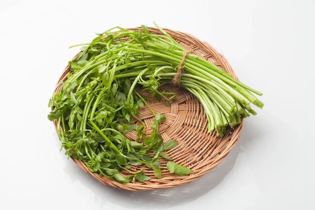 Fresh Korean minari herbs used at Neungdong Minari restaurant in Seoul