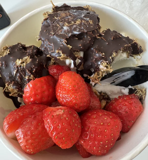 The Classic Yogurt Ice Cream