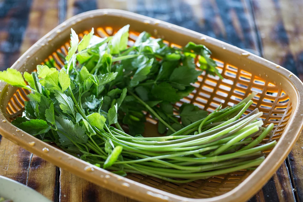 Korean dropwort (minari) garnish on a dish at an Incheon Airport Korean restaurant.